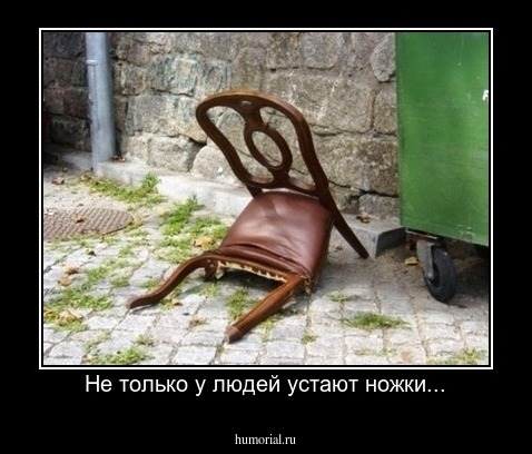 Не только у людей устают ножки...