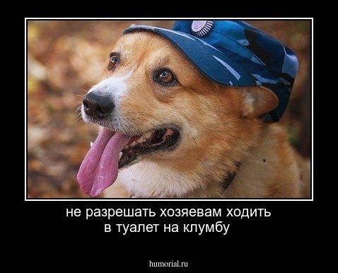 не разрешать хозяевам ходить в туалет на клумбу