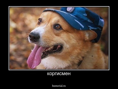 коргисмен