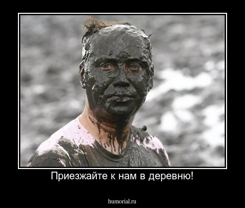 Приезжайте к нам в деревню!