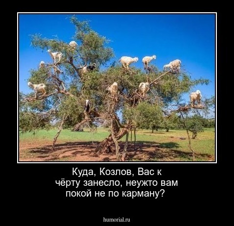 Куда, Козлов, Вас к чёрту занесло, неужто вам покой не по карману?