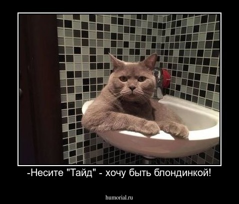 -Несите "Тайд" - хочу быть блондинкой!