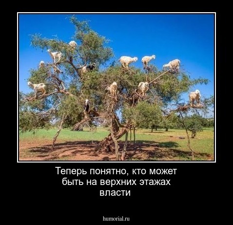 Теперь понятно, кто может быть на верхних этажах власти