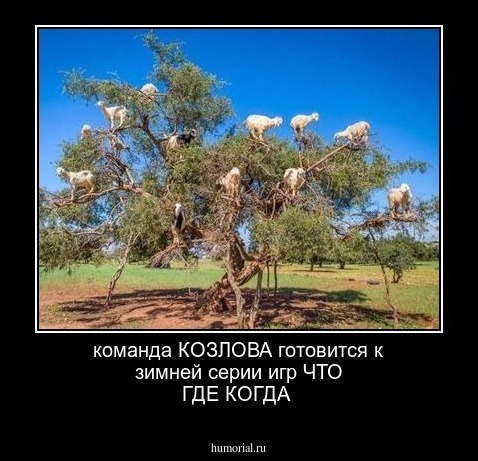 команда КОЗЛОВА готовится к зимней серии игр ЧТО ГДЕ КОГДА 