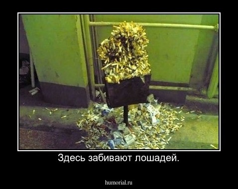 Здесь забивают лошадей.