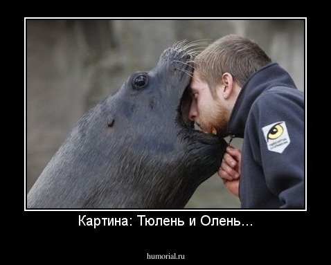 Картина: Тюлень и Олень...