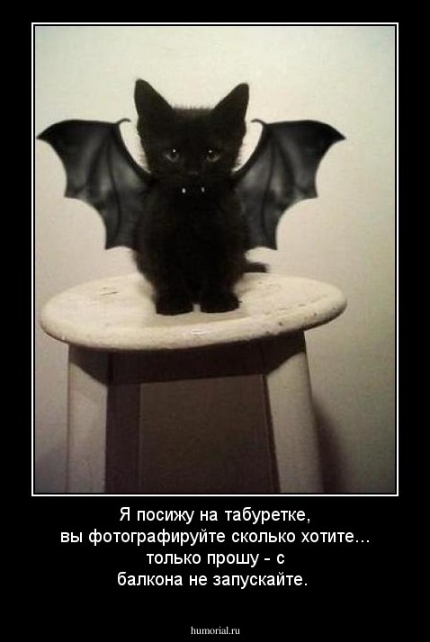 Я посижу на табуретке, вы фотографируйте сколько хотите... только прошу - с балкона не запускайте. 