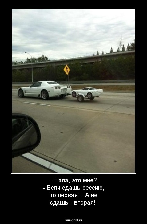 - Папа, это мне? 
- Если сдашь сессию, то первая... А не сдашь - вторая!