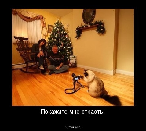 Покажите мне страсть!
