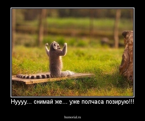 Нуууу... снимай же... уже полчаса позирую!!!