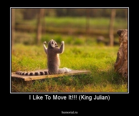 I Like To Move It!!! (King Julian)