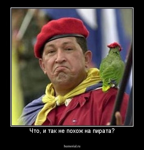 Что, и так не похож на пирата?