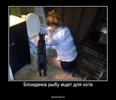 Блондинка рыбу ищет для кота