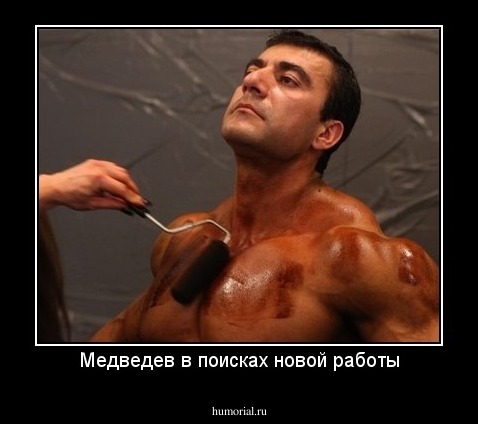 Медведев в поисках новой работы