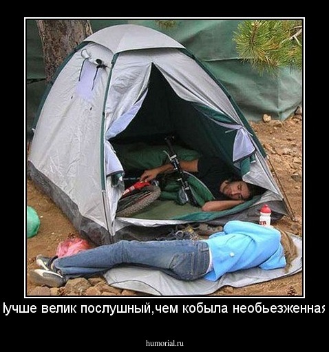 Лучше велик послушный,чем кобыла необьезженная.
