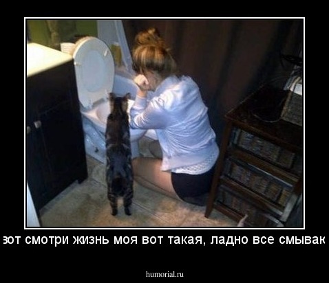 вот смотри жизнь моя вот такая, ладно все смываю