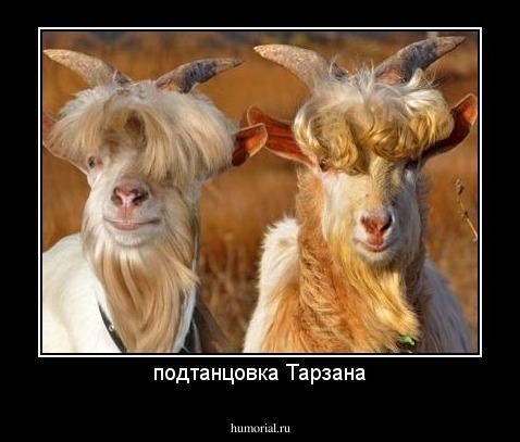 подтанцовка Тарзана