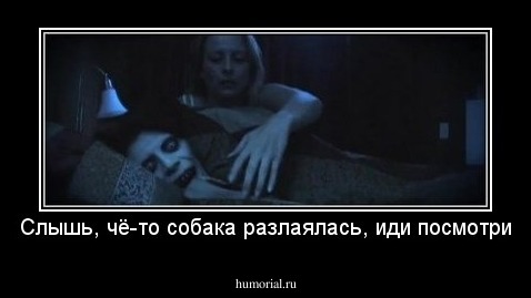 Слышь, чё-то собака разлаялась, иди посмотри