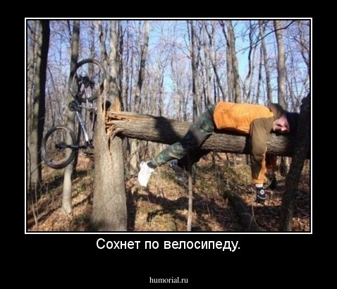 Сохнет по велосипеду.