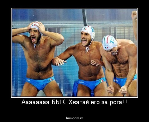 Аааааааа БЫК. Хватай его за рога!!!