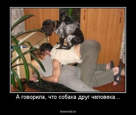 А говорила, что собака друг человека...