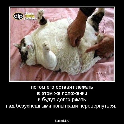 потом его оставят лежать в этом же положении и будут долго ржать над безуспешными попытками перевернуться.