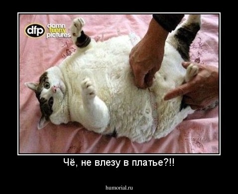Чё, не влезу в платье?!!