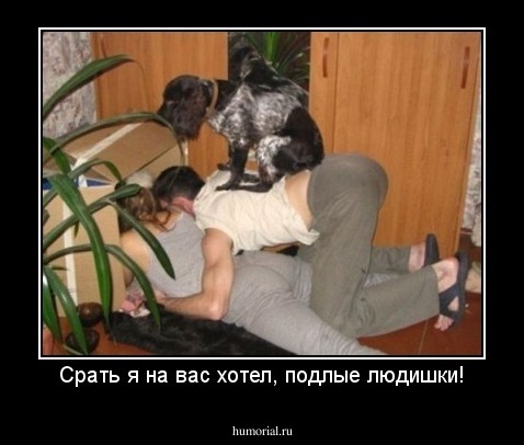 Срать я на вас хотел, подлые людишки!