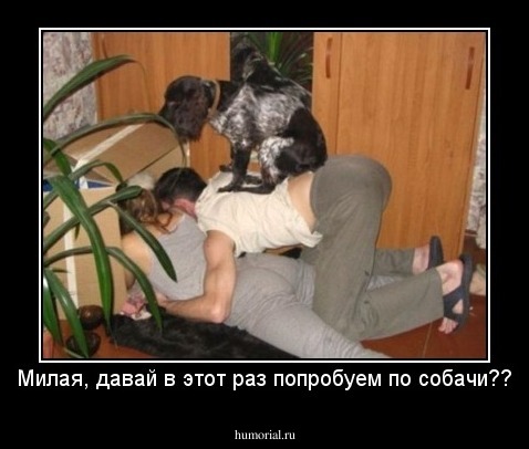 Милая, давай в этот раз попробуем по собачи??