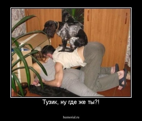 Тузик, ну где же ты?!