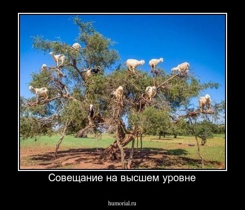 Совещание на высшем уровне