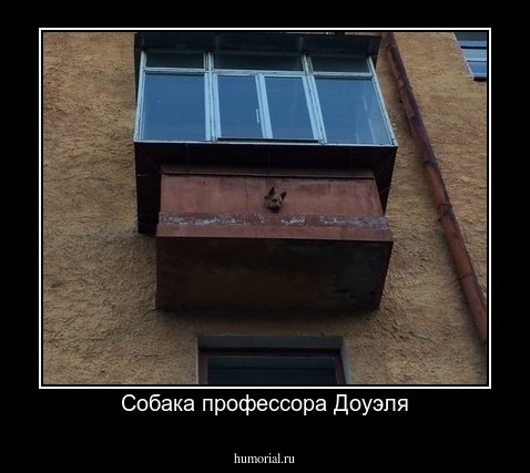 Собака профессора Доуэля