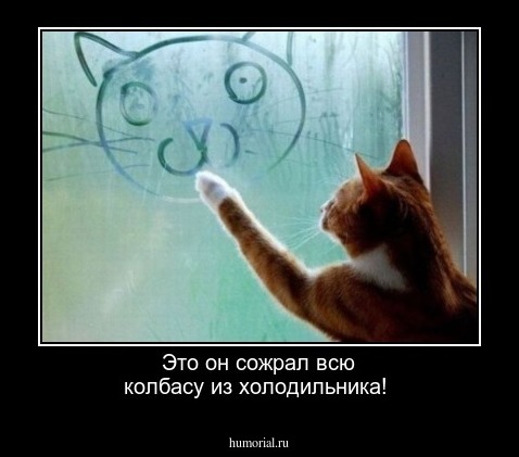 Это он сожрал всю колбасу из холодильника!