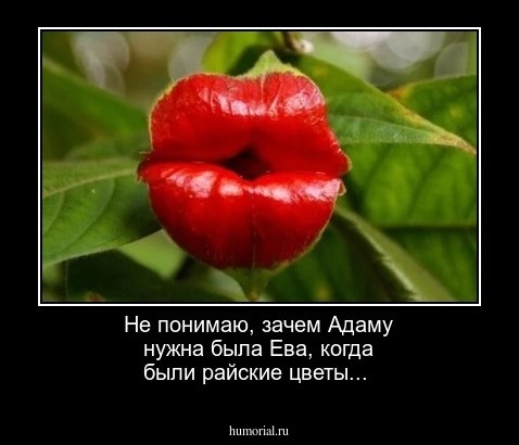 Не понимаю, зачем Адаму нужна была  Ева, когда были райские цветы...