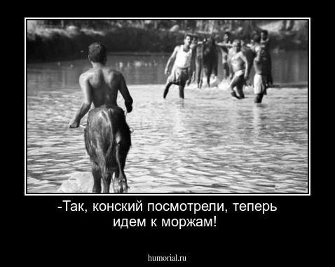 -Так, конский посмотрели, теперь идем к моржам!