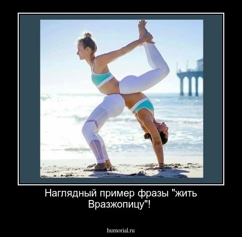 Наглядный пример фразы "жить Вразжопицу"!