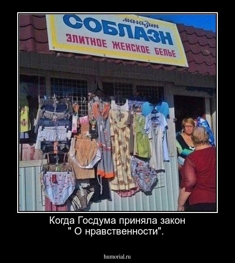 Когда Госдума приняла закон " О нравственности".