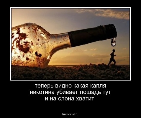 теперь видно какая капля никотина убивает лошадь тут и на слона хватит