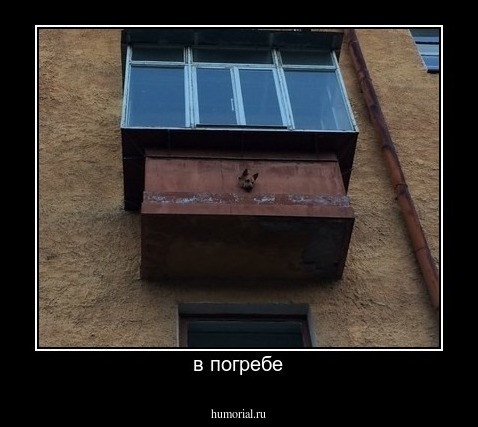 в погребе