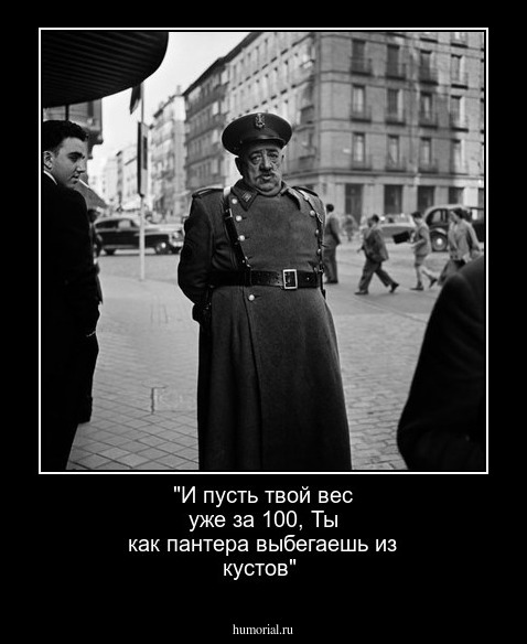 "И пусть твой вес уже за 100,
Ты как пантера выбегаешь из кустов"
