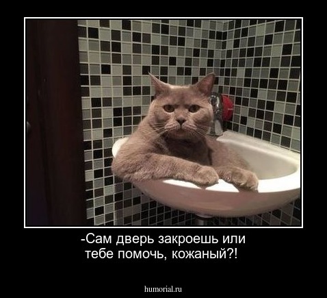 -Сам дверь закроешь или тебе помочь, кожаный?!