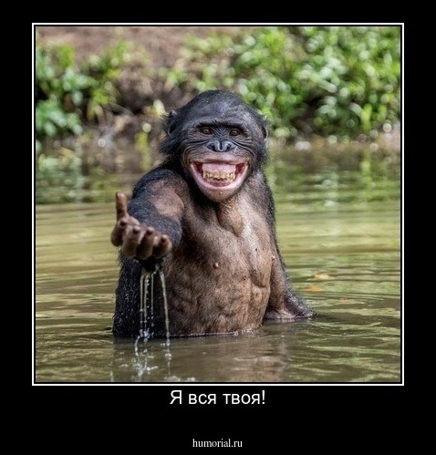 Я вся твоя!