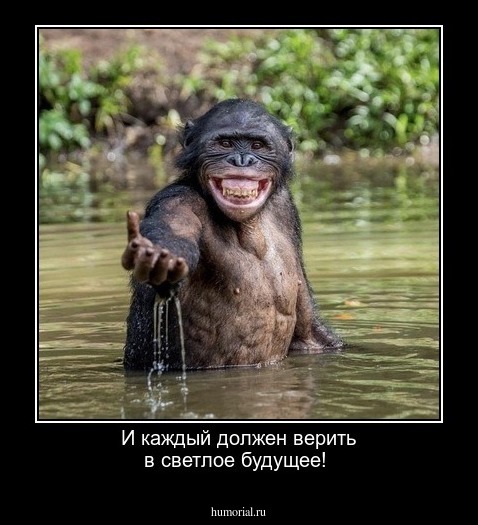 И каждый должен верить в светлое будущее!