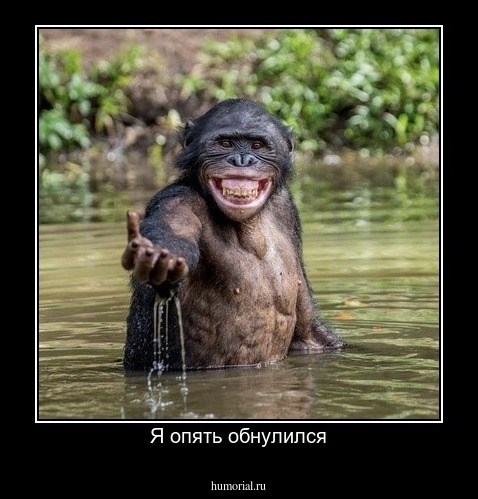 Я опять обнулился