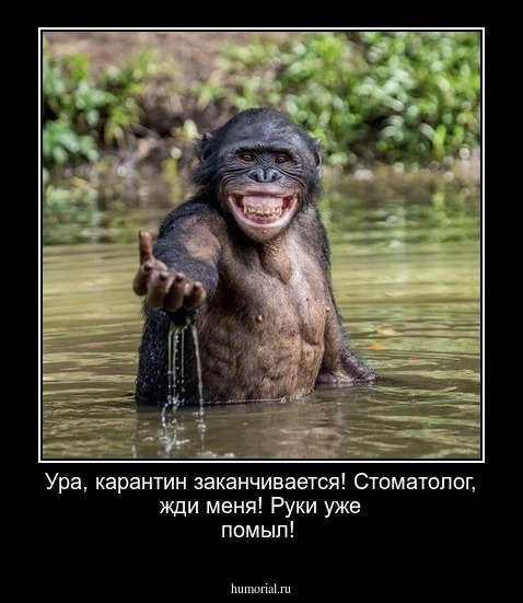 Ура, карантин заканчивается! Стоматолог, жди меня! Руки уже помыл!
