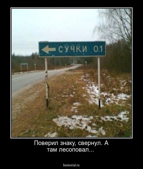 Поверил знаку, свернул. А там лесоповал...
