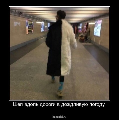 Шел вдоль дороги в дождливую погоду.