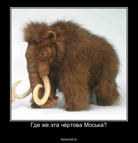 Где же эта чёртова Моська?