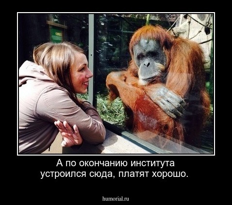 А по окончанию института устроился сюда, платят хорошо.
