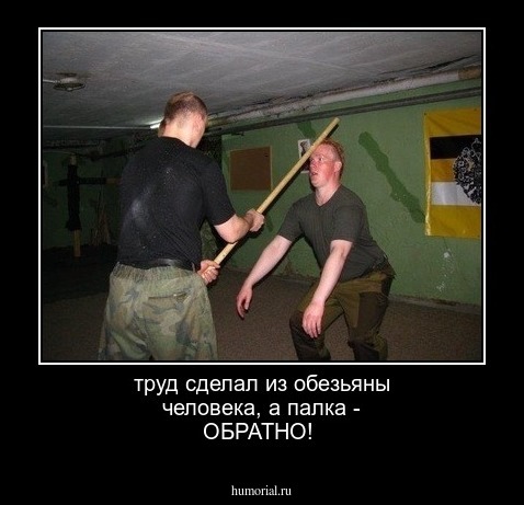 труд сделал из обезьяны человека, а палка - ОБРАТНО!